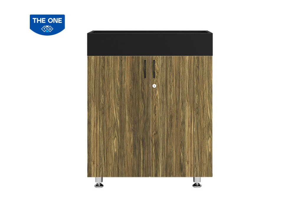 Tủ tài liệu gỗ BRI1000-2T2